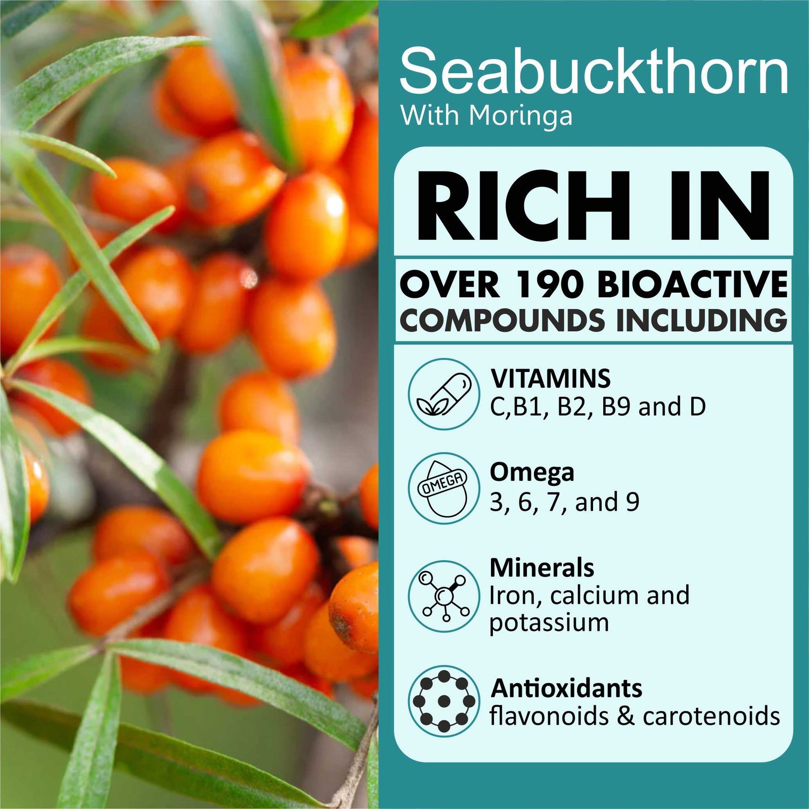 4 Sea Buckthorn Moringa Capsules Benefits