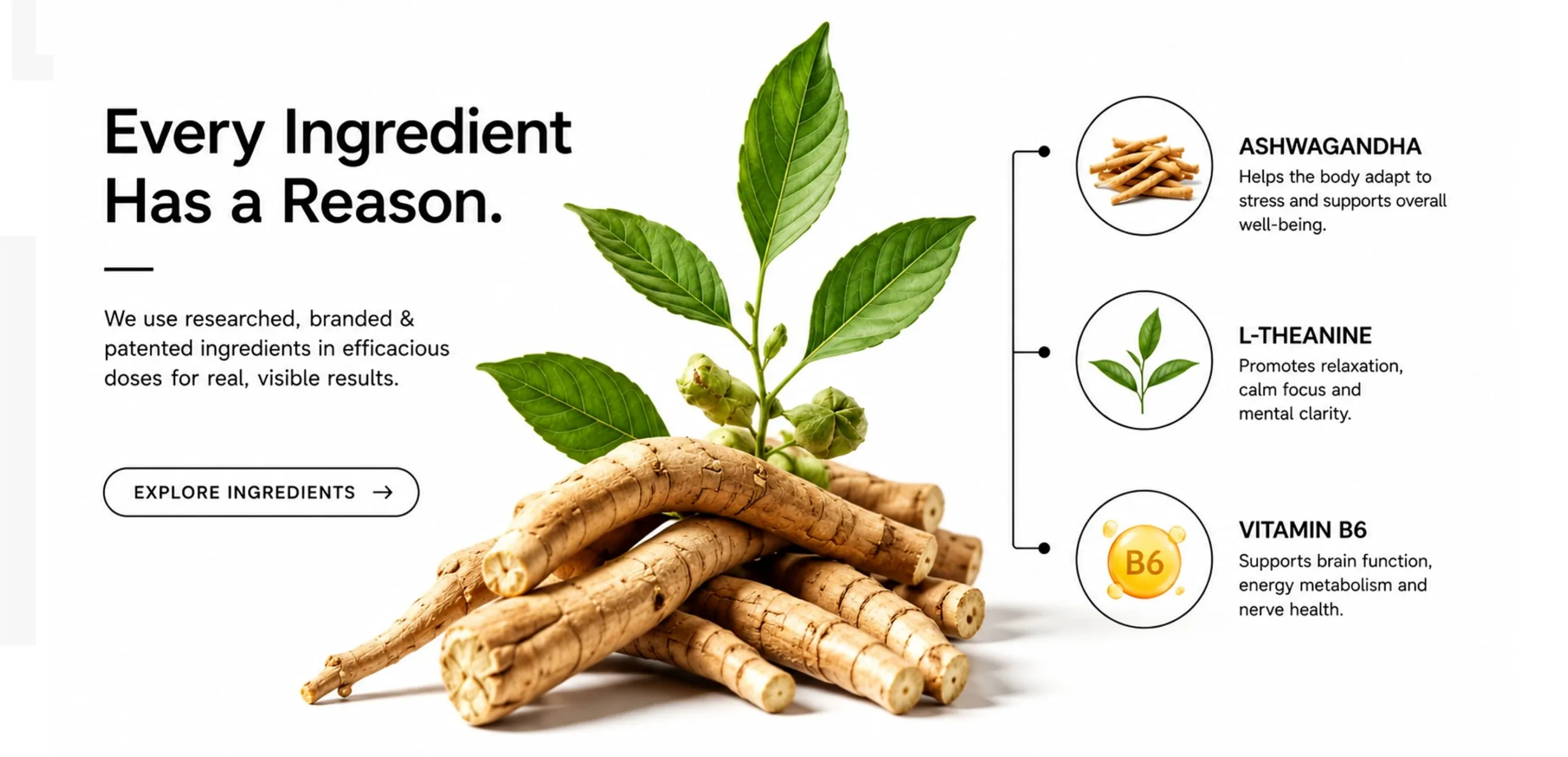 nutramarck-every-ingredient-has-a-reason-4k