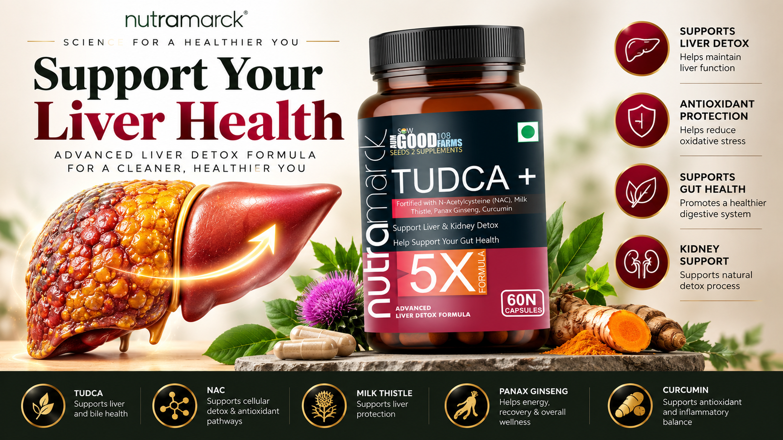 TUDCA Liver Support with NAC Milk Thistle Curcumin and Panax Ginseng