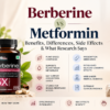 Berberine vs metformin comparison benefits differences and side effects
